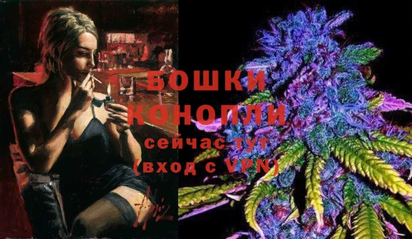 крисы Аркадак