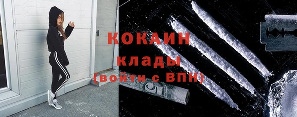 шишки Баксан