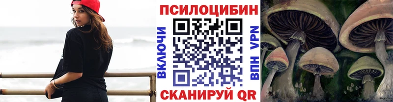 дарнет шоп  Усинск  Галлюциногенные грибы Psilocybe 
